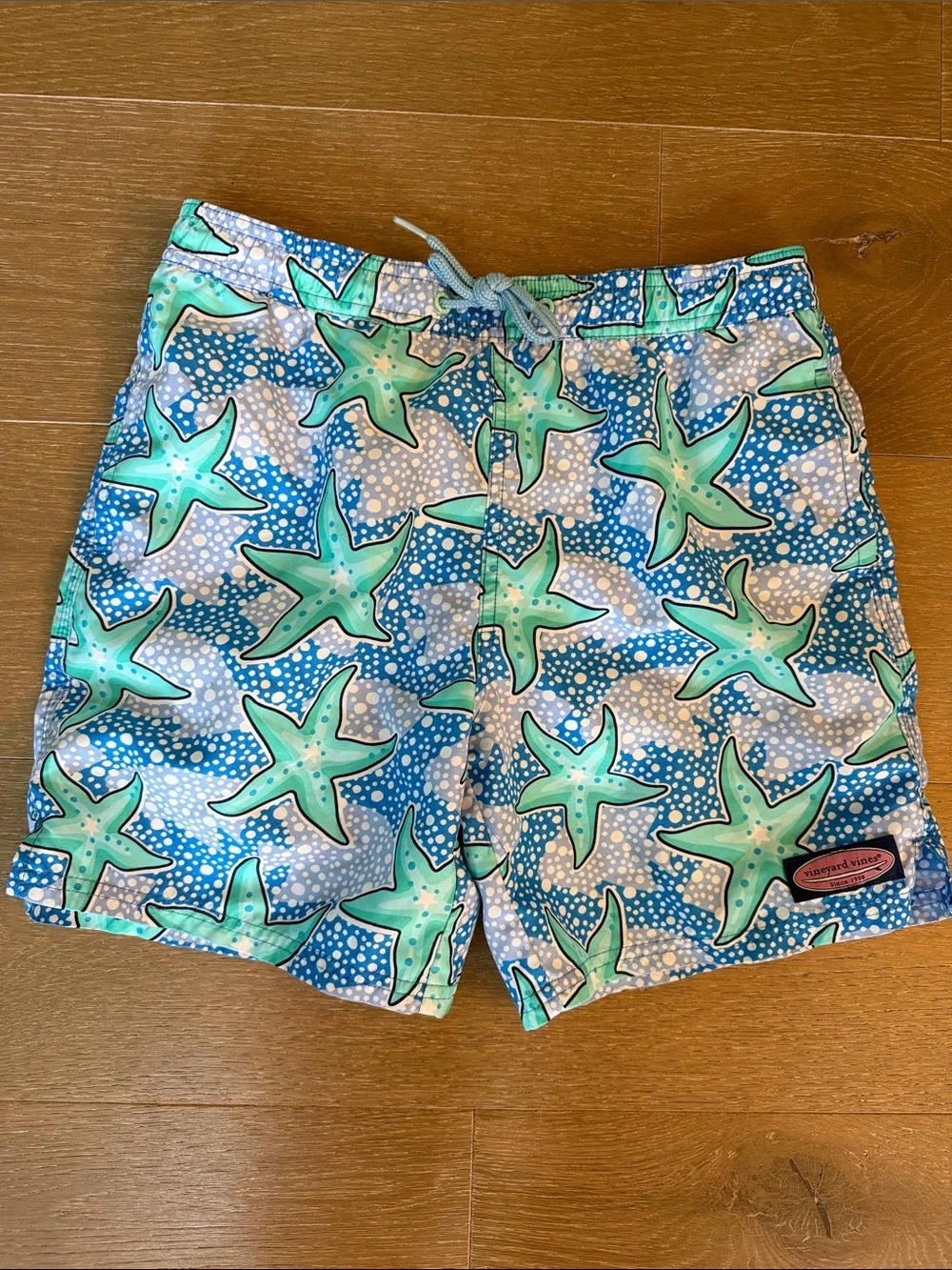 Vineyard Vines Chappy Kids Aqua & Teal Starfish Swim Trunks | s